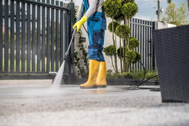 Best Sidewalk Pressure Washing  in Newhall, IA