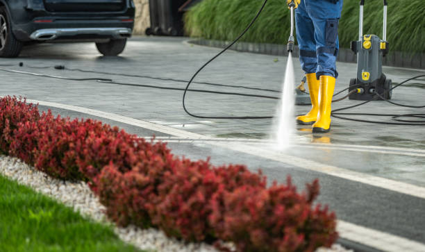 Best Residential Pressure Washing Services  in Newhall, IA